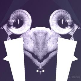 shapeshifter网站欣赏