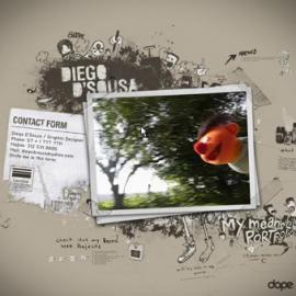 diegodsousa酷站欣赏