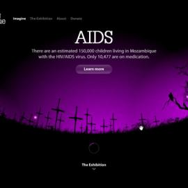 imagining mozambique酷站