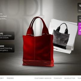 Laudi vidni 网站欣赏