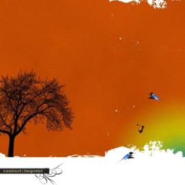 iwishihadaname酷站欣赏