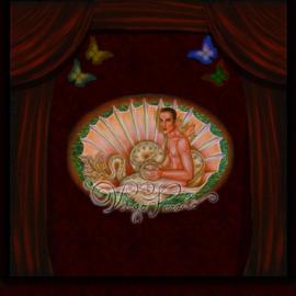 virgoparaiso酷站欣赏