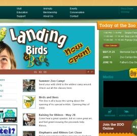 40个最佳设计公益机构网站