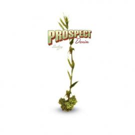 prospectdenim酷站欣赏