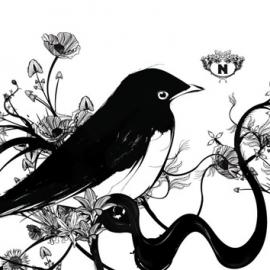 nacionale酷站欣赏