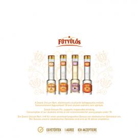 MEZES SZILVA网站欣赏