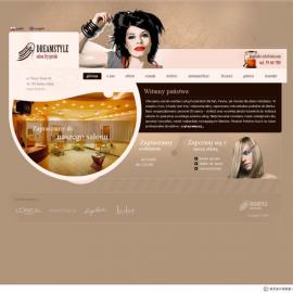 波兰Sinvar网站界面作品