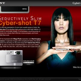 新加坡设计师Preston Tan网页设计欣赏四