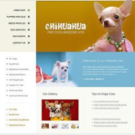 Chikvahva 网页设计