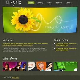 Hyrix 网页设计