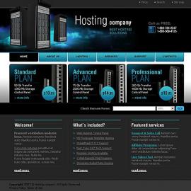 Hosting company 网页和界面设计