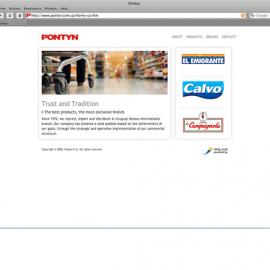 Natalia V 网页设计