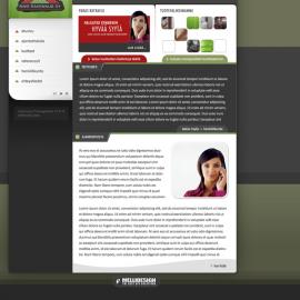 Ari Hallami 网页设计