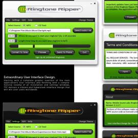 The Skins Factory 界面设计欣赏