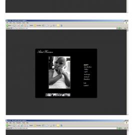 Elaine Janse van Rensburg 网页设计