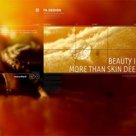 Francisco Aveledo 界面设计