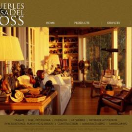 cathy lor 网页设计