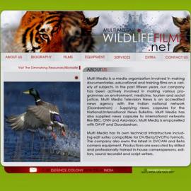 NITISH BHATIA 界面设计