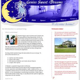 Ionut Dragutescu网页设计