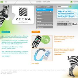 Sergey Starchik网页设计