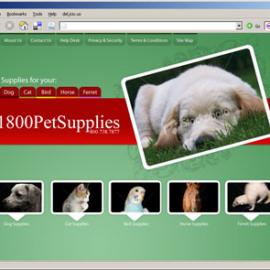 Dustin Williams WEB设计