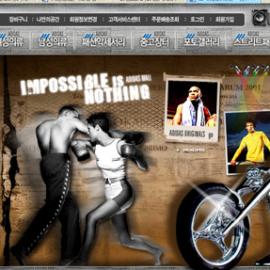 韩国最新网站设计欣赏