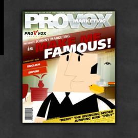 provoxmarketing.com网站欣赏
