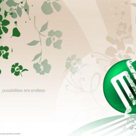 Mansur Mirani 网页设计作品