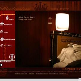 互动网页设计欣赏―百威啤酒