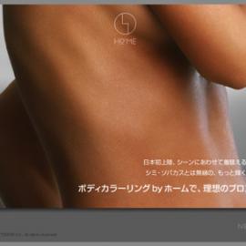 灰色调的网页设计欣赏