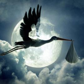 “Surprise”广告片欣赏