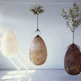 下辈子做一棵树／意大利新概念墓葬