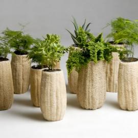 Fernando Laposse丝瓜络设计