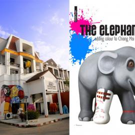 跟着大象游行去