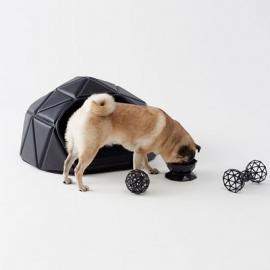 Heads or Tails狗屋设计