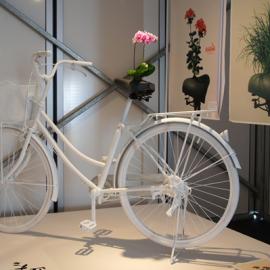 东京设计周之ASIA AWARD展览现场欣赏