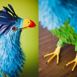 Diana Beltrán Herrera的纸艺作品：鸟