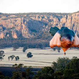 艺术家帕特里夏皮奇尼尼的热气球设计