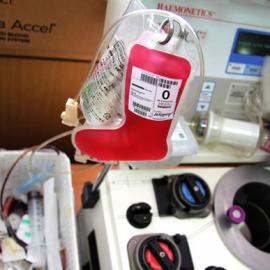 Kiseung Lee：圣诞袜血袋