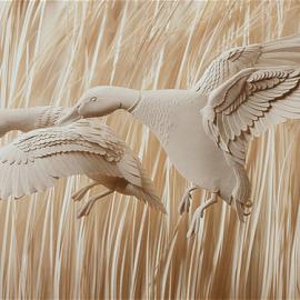 Calvin Nicholls纸艺作品：动物