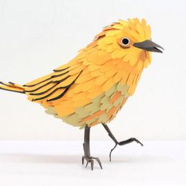 Diana Beltran Herrera：飞鸟变形记之跃然纸上（Ⅱ）