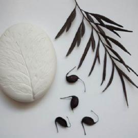 叶影婆娑，浅听Paula Valentim的植物印语