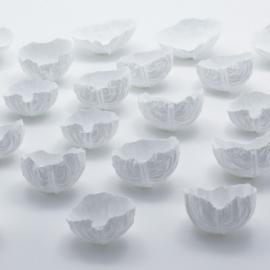 吃包菜的时候用包菜碗！