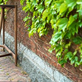 Studio Dunn 罗德岛家具