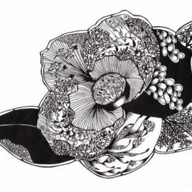 Hina Aoyama 细若游丝的剪纸艺术