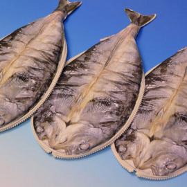 烤鱼铅笔袋：Grilled Fish Pencil Case