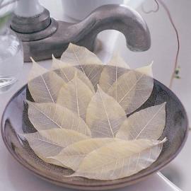 意想不到的20款创意香皂设计