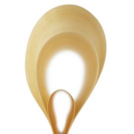 shin okada设计的原生态加湿器