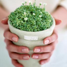 方便视障者的盲文标识胶带