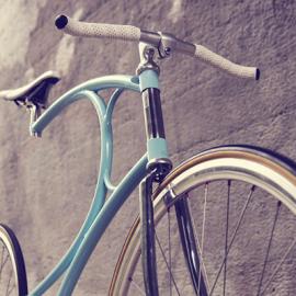 曲线优美的Van Hulsteijn自行车